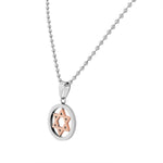 Stainless Steel Silver Rose Gold Two-Tone Classic Jewish Star of David Mens Boys Pendant Necklace