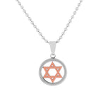 Stainless Steel Silver Rose Gold Two-Tone Classic Jewish Star of David Mens Boys Pendant Necklace
