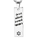 Stainless Steel Hebrew Blessing Jewish Star of David CZ Necklace
