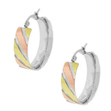 Stainless Steel Gold-Tone Silver-Tone Large Heavy Hoop Earrings