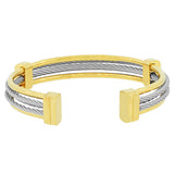 Silver & Gold Bangle
