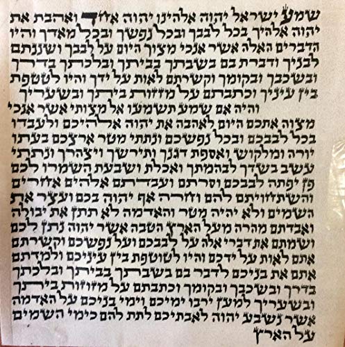 My Daily Styles Super Kosher Mezuzah Scroll from Israel, 100% Kosher with Certificate Size 6cm (4.5")